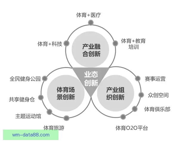 完美体育引领多元化发展打造全球体育娱乐融合新生态平台
