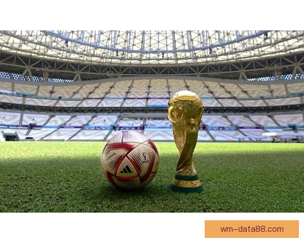 全球瞩目的2026世界杯决赛巅峰之夜谁将登顶世界足坛王座