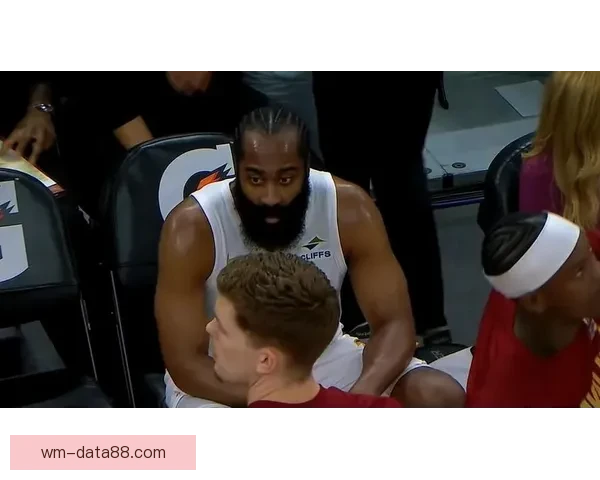 一级恶意犯规引争议塞克斯顿垫脚哈登施罗德绕掩护撞理查兹要害